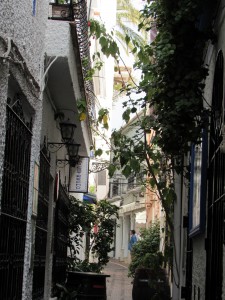 Wandering in Andalusia